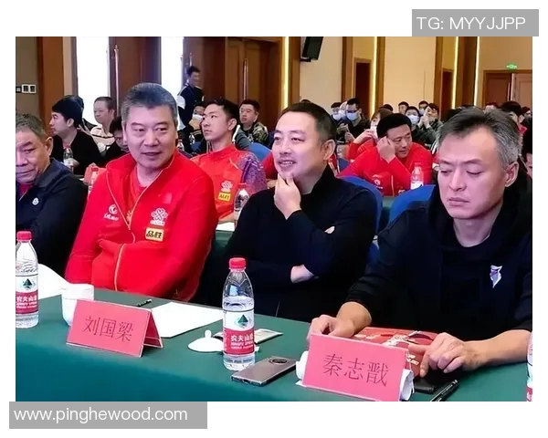 重庆乒乓球队比赛经验的革新与热议背后的深层意义探讨