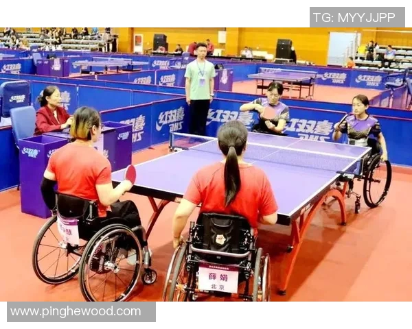 重庆乒乓球队实力引发热议球迷与专家的观点碰撞与争论