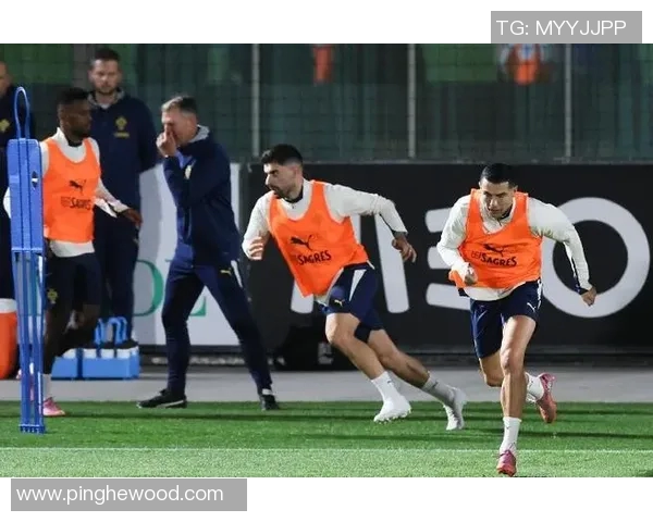 2014年世界杯精彩回顾葡萄牙对沙特的激烈对决与战术分析 2014年世界杯精彩回顾葡萄牙对沙特的激烈对决与战术分析