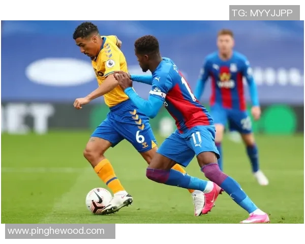 埃弗顿对阵西布朗的精彩直播赛事全程回顾与分析