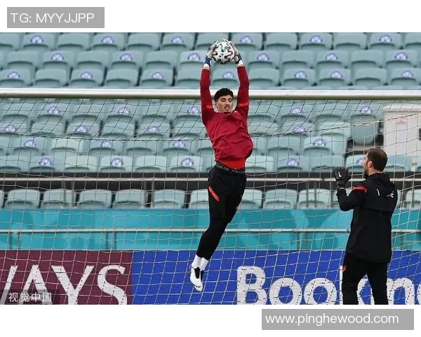 土耳其与瑞典男篮对决前瞻分析及胜负预测