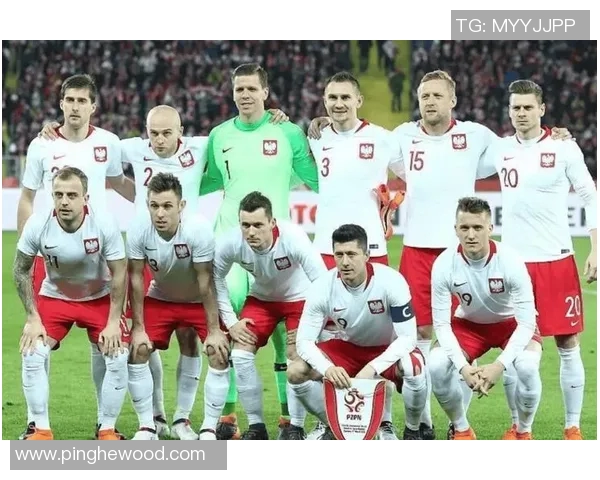 德国与波兰足球历史交锋回顾及战绩分析