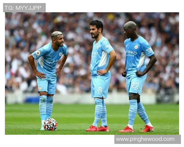 曼城与诺维奇1516赛季精彩对决回顾与分析