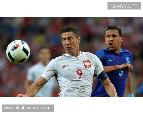 波兰与爱尔兰足球对决精彩视频回顾与精彩瞬间分析