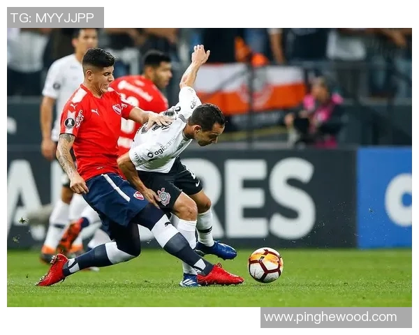 圣保罗对阵弗拉门戈赛事分析与推荐策略分享