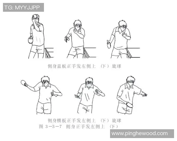 乒乓球新手必看：从基础力量训练到技巧提升的全面指南