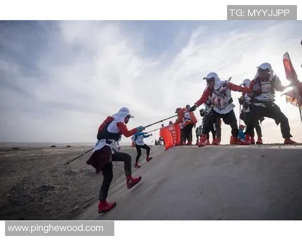 北京乒乓球队精英赛之路：从挑战到辉煌的突破历程全景回顾