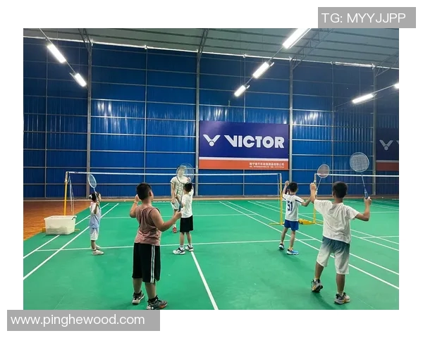 北京羽毛球队的整体压制揭秘与深度分析探索羽毛球竞技的背后力量