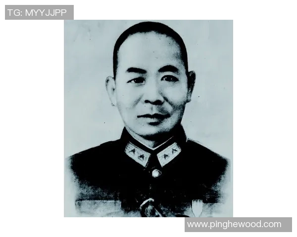 史鸿飞的传奇人生与奋斗历程：从平凡到卓越的心路历程探索