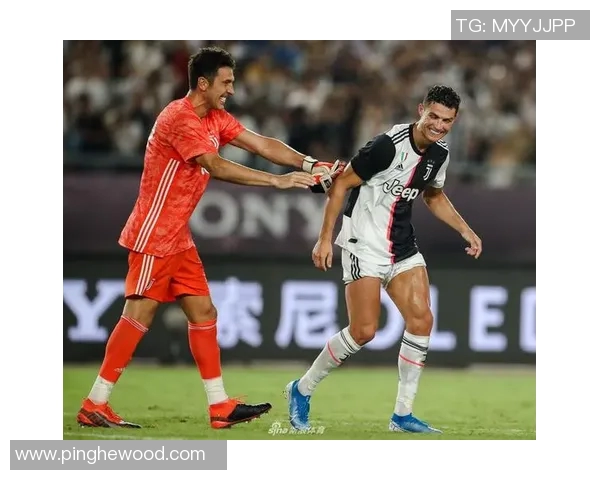 南京排球队比赛经验引发热议球迷观点分歧引关注