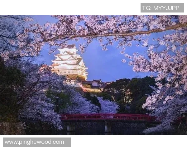 探索摩尔特里的历史与文化魅力，揭示这座城市的独特风采与未来发展潜力