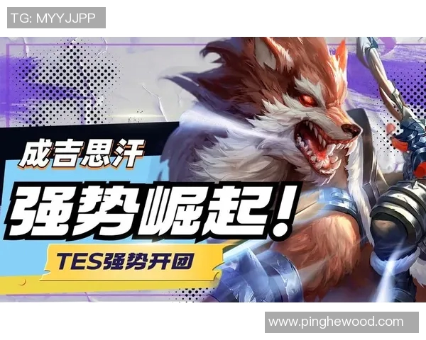 王者荣耀战术解析：TES战队盯防体系的深度剖析与应用