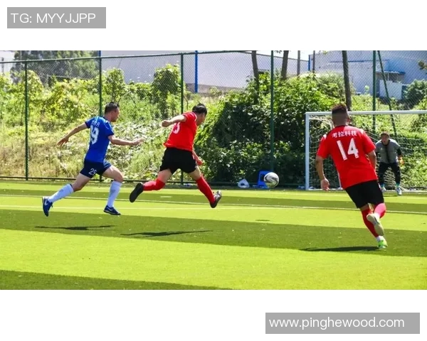 赛后复盘：深圳足球队与成都足球队的团队协作与战术分析