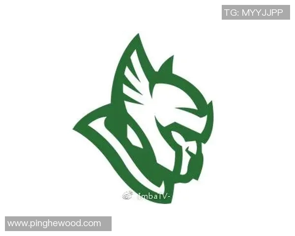 聚焦CSGOJDG战队分享比赛经验与战术解析的深度探讨