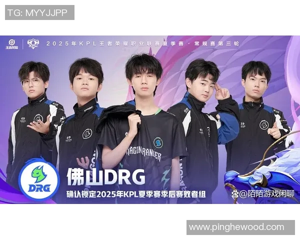 王者荣耀最新比赛经验分享TOP10RNG战队表现抢眼引领潮流