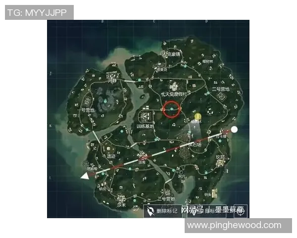 和平精英战术解析FPX区域防守体系的构建与应用探讨