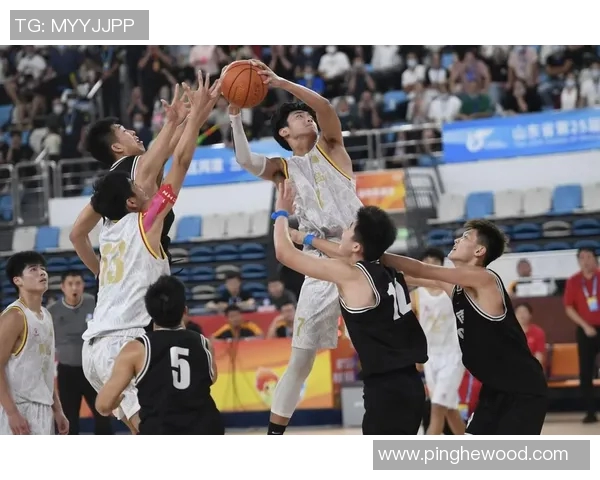 南京篮球队配合默契创新高荣登全国篮球配合排名榜首