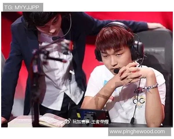 权威发布王者荣耀比赛经验与实力综合评估榜单解析