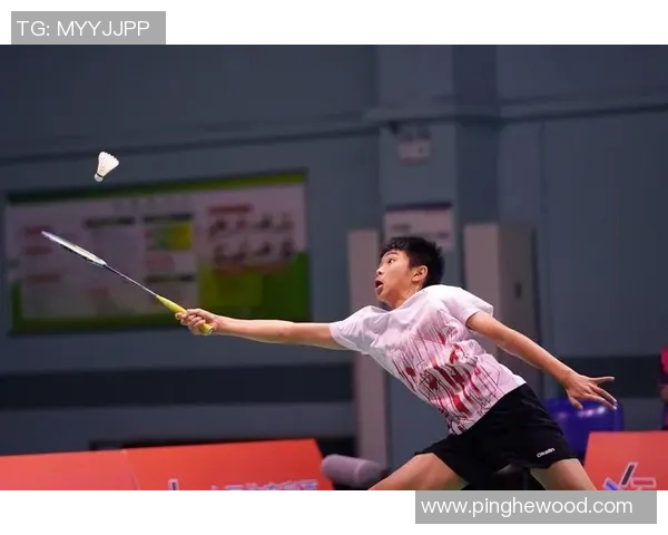 广州羽毛球队比赛经验深度对比分析及其对未来赛事的影响探讨