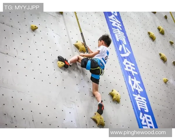 深圳攀岩队防守策略分析与比赛表现评估的全面探讨