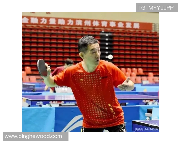 杭州乒乓球队意识变革引发热议助力中国乒乓球新篇章