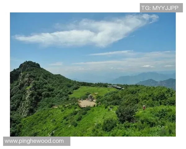 张静独家分享攀岩技巧与心得体会助你轻松征服高峰