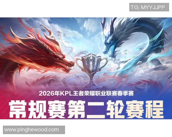 王者荣耀深度解析：JDG战队如何通过团队协作赢得胜利
